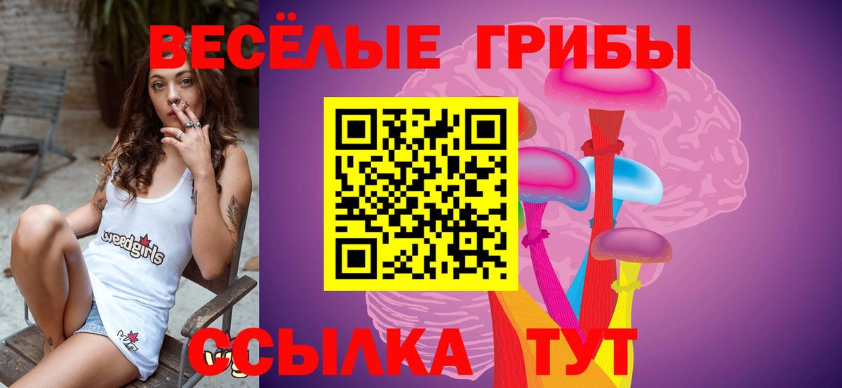 Шумерля  Псилоцибиновые грибы MAGIC MUSHROOMS  Вход с VPN  Галлюциногенные грибы ЛСД 